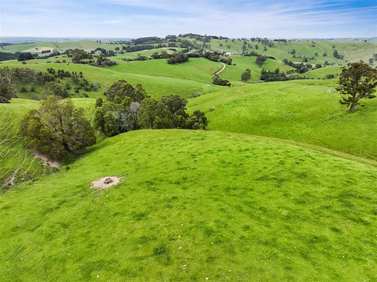Fifth view of Homely rural property listing, 10 Rowes Road, Mount Eccles VIC 3953