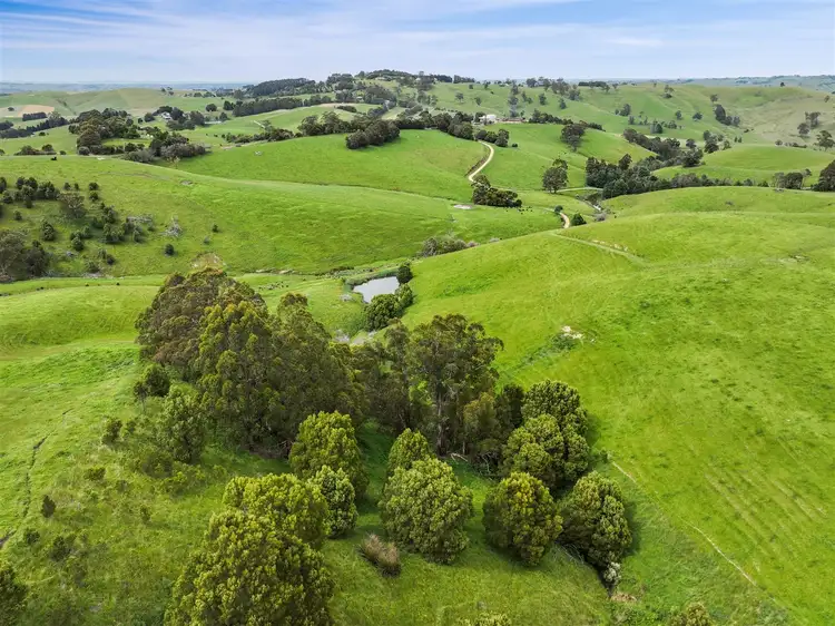 Sixth view of Homely rural property listing, 10 Rowes Road, Mount Eccles VIC 3953