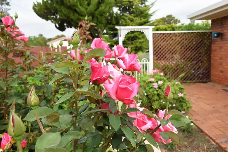 Third view of Homely house listing, 7 Morgan, Clifton QLD 4361