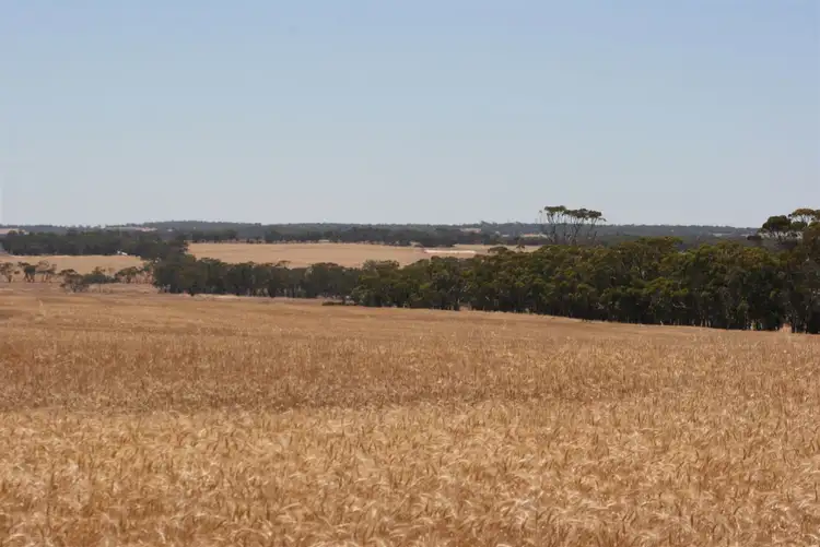 Fifth view of Homely rural property listing, 1864 Mawson Road - Dunbeath Farm, East Beverley WA 6304