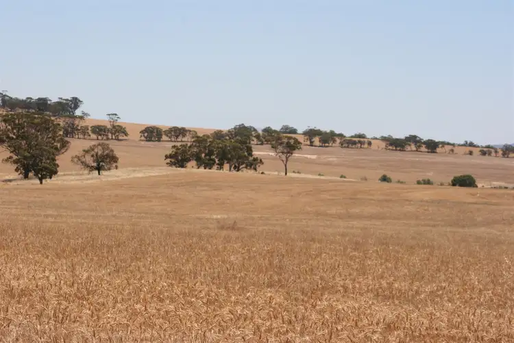 Seventh view of Homely rural property listing, 1864 Mawson Road - Dunbeath Farm, East Beverley WA 6304