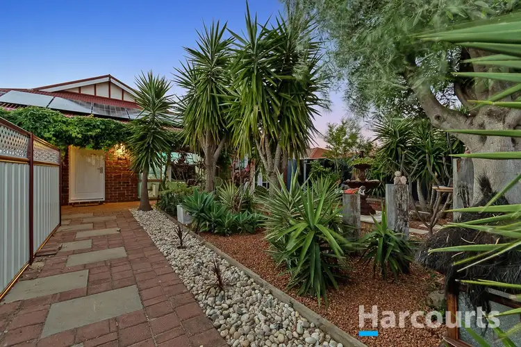 Main view of Homely house listing, 49 Caledonia Avenue, Currambine WA 6028