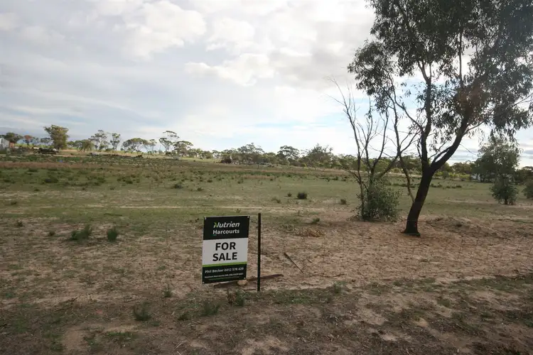 Main view of Homely land listing, 225 Bourke Street, Meckering WA 6405