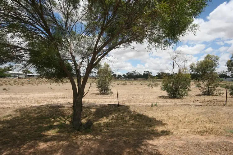 Third view of Homely land listing, 225 Bourke Street, Meckering WA 6405
