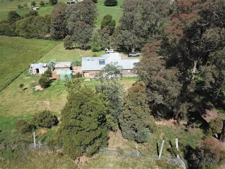 Sixth view of Homely house listing, 249 Bonang Road, Bonang VIC 3888