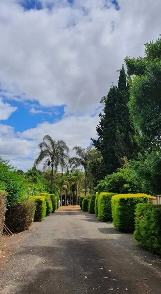 Main view of Homely house listing, 51 Blechynden Street, Bridgetown WA 6255