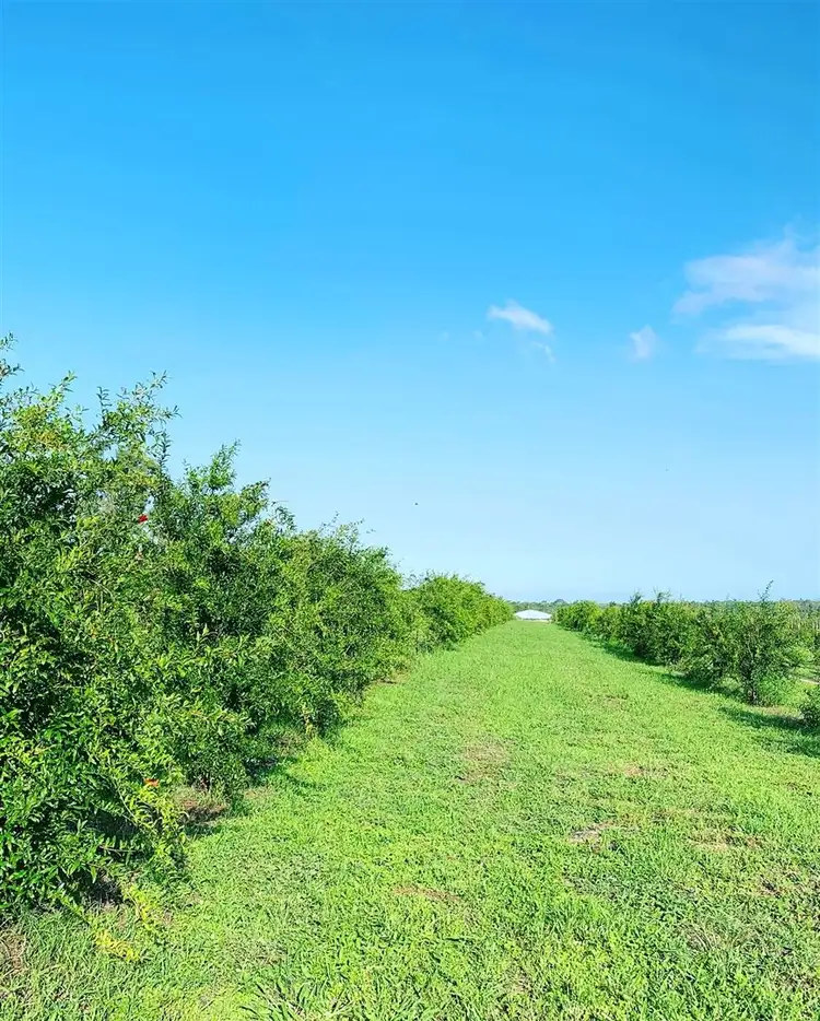 Sixth view of Homely rural property listing, Address available on request