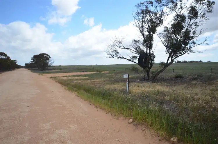 Seventh view of Homely rural property listing, 581 Drescher Road, Borrika SA 5309