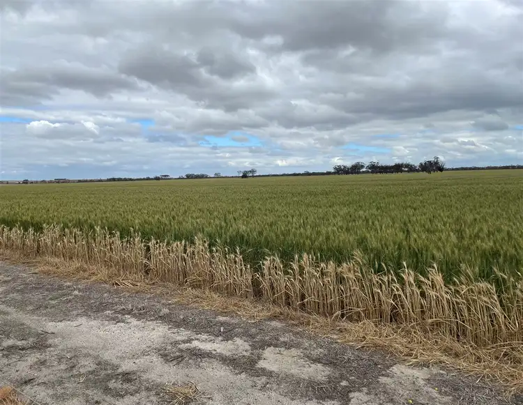Second view of Homely rural property listing, ' Johnson's Block, Mindarabin WA 6336