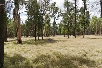 Main view of Homely rural property listing, Lot 12 Rosella Avenue, Millmerran QLD 4357