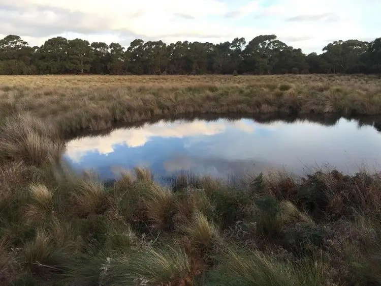 Sixth view of Homely rural property listing, PID 6432074 Lime Pit Road, Lackrana TAS 7255
