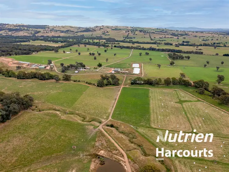 Main view of Homely rural property listing, 301 Boggy Creek Road, Moyhu VIC 3732