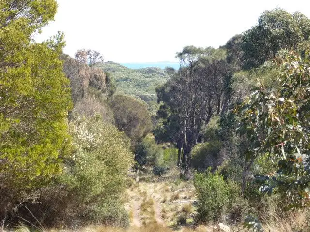 Main view of Homely rural property listing, PID 2555448 Palana Road, Lughrata TAS 7255