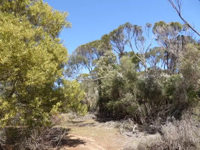 Second view of Homely rural property listing, PID 2555448 Palana Road, Lughrata TAS 7255