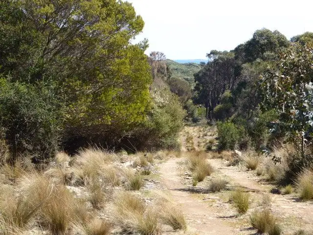 Fourth view of Homely rural property listing, PID 2555448 Palana Road, Lughrata TAS 7255