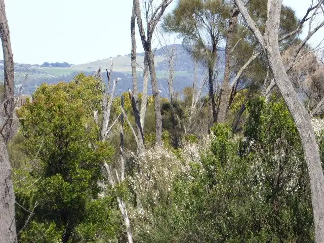 Sixth view of Homely rural property listing, PID 2555448 Palana Road, Lughrata TAS 7255