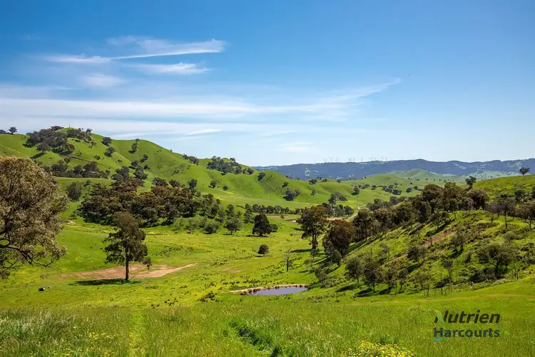 Main view of Homely rural property listing, 472 Guymers Road, Yea VIC 3717