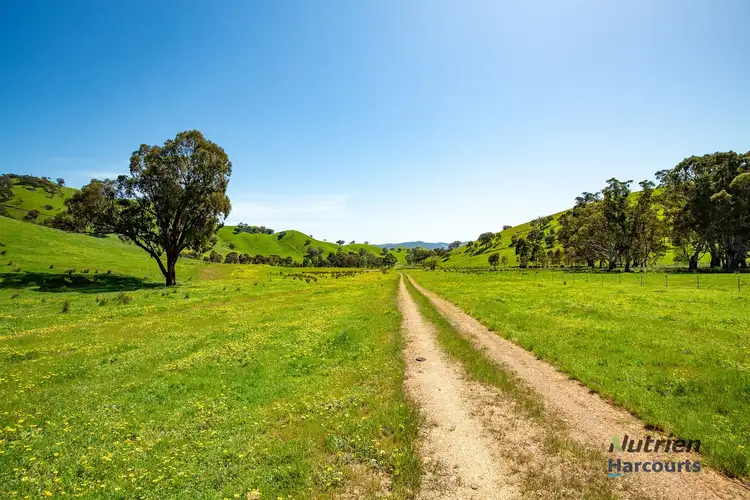 Third view of Homely rural property listing, 472 Guymers Road, Yea VIC 3717