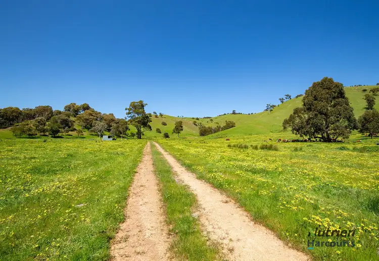 Fourth view of Homely rural property listing, 472 Guymers Road, Yea VIC 3717