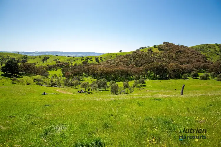 Seventh view of Homely rural property listing, 472 Guymers Road, Yea VIC 3717