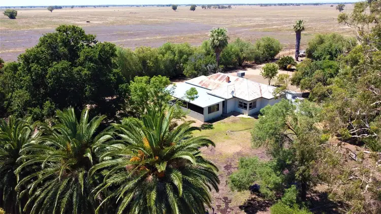 Third view of Homely rural property listing, Lot 136/6541 Wakool Road, Wakool NSW 2710