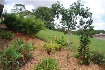 Fourth view of Homely house listing, 39 Coral Fern circuit, Murwillumbah NSW