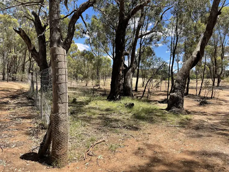 Fourth view of Homely rural property listing, 100 Baggies Track, St Arnaud VIC 3478