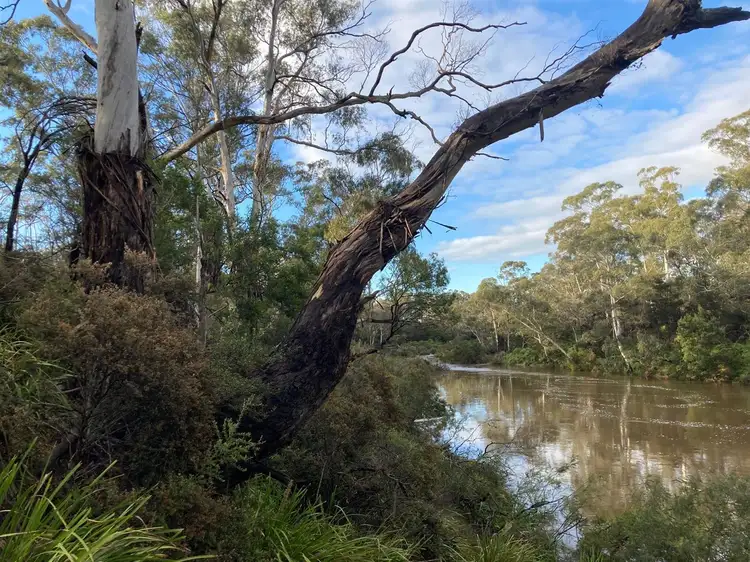 Main view of Homely rural property listing, 28 Tomboye Road, Braidwood NSW 2622