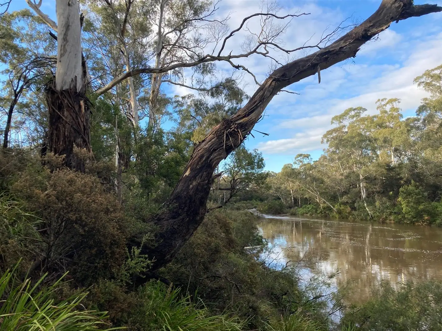Main view of Homely rural property listing, 28 Tomboye Road, Braidwood NSW 2622