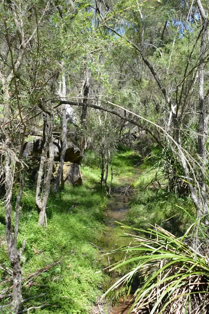 Sixth view of Homely rural property listing, 28 Tomboye Road, Braidwood NSW 2622
