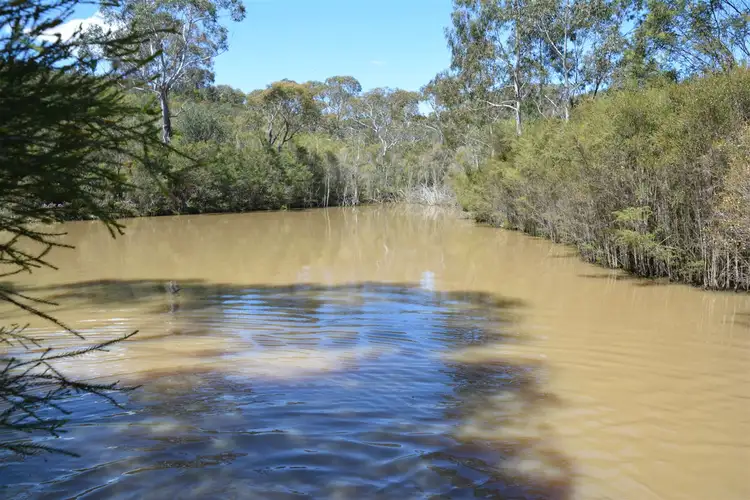 Seventh view of Homely rural property listing, 28 Tomboye Road, Braidwood NSW 2622