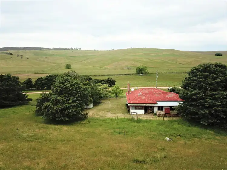 Seventh view of Homely house listing, 405 Poddy Hut Road, Ando NSW 2631