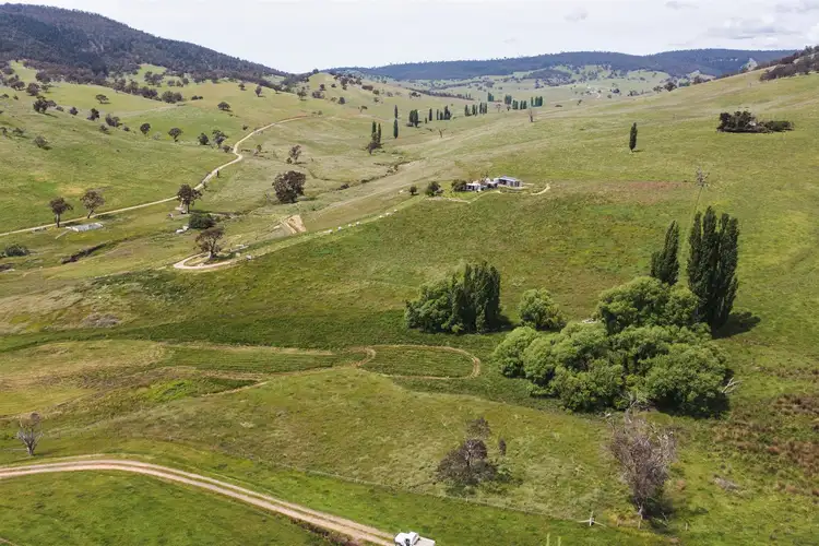 Third view of Homely rural property listing, 381 Bingo - Tice Road, Omeo VIC 3898