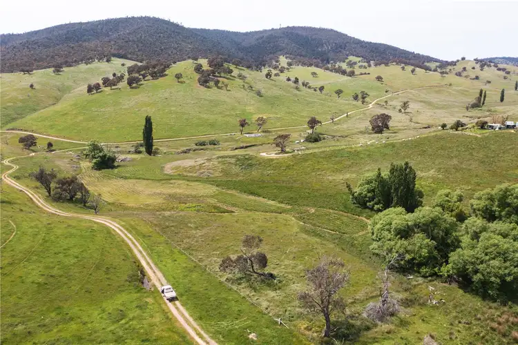Fourth view of Homely rural property listing, 381 Bingo - Tice Road, Omeo VIC 3898