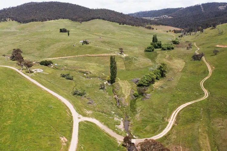Fifth view of Homely rural property listing, 381 Bingo - Tice Road, Omeo VIC 3898