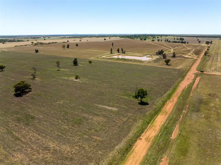 Main view of Homely rural property listing, PT GOODENOUGH 716 Acres, Ungarie NSW 2669