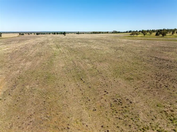 Second view of Homely rural property listing, PT GOODENOUGH 716 Acres, Ungarie NSW 2669