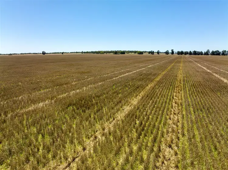 Third view of Homely rural property listing, PT GOODENOUGH 716 Acres, Ungarie NSW 2669