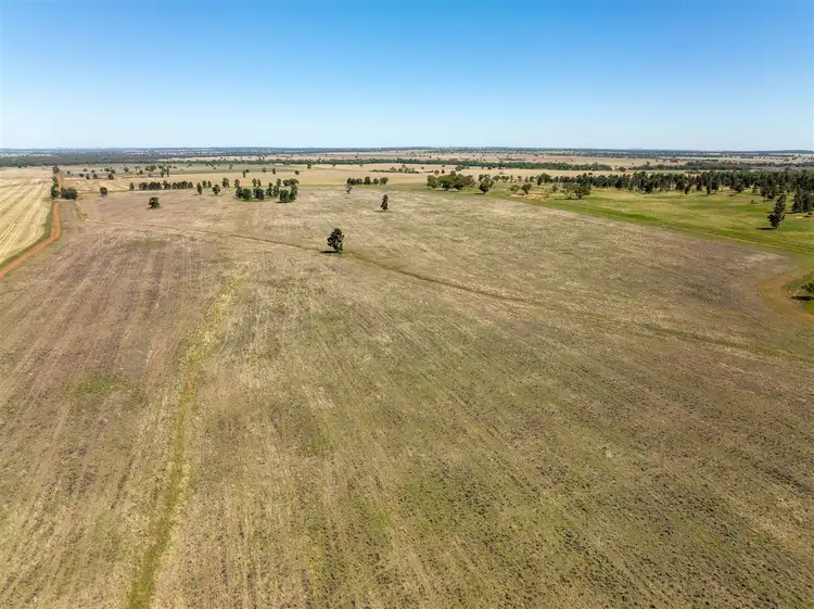 Fourth view of Homely rural property listing, PT GOODENOUGH 716 Acres, Ungarie NSW 2669
