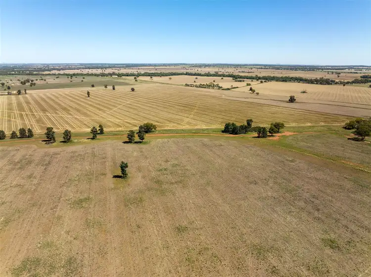 Fifth view of Homely rural property listing, PT GOODENOUGH 716 Acres, Ungarie NSW 2669
