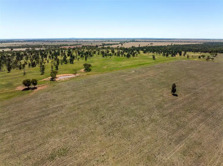Sixth view of Homely rural property listing, PT GOODENOUGH 716 Acres, Ungarie NSW 2669