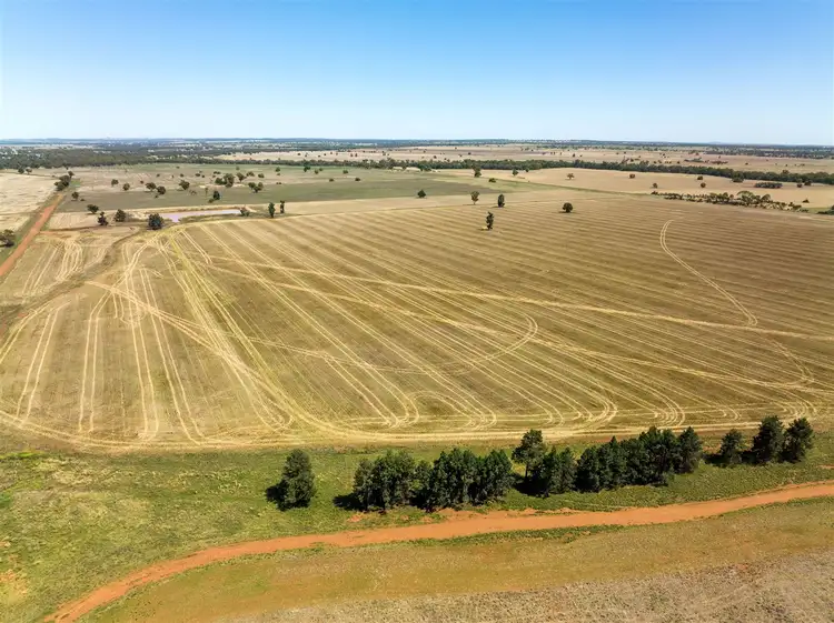 Seventh view of Homely rural property listing, PT GOODENOUGH 716 Acres, Ungarie NSW 2669