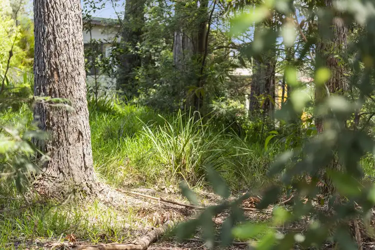 Seventh view of Homely land listing, 55 Leo Drive, Narrawallee NSW 2539