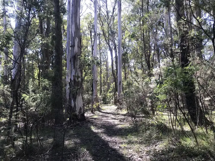 Lot 2/3 Altmans Road, Tolmie VIC 3723