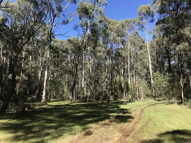 Second view of Homely rural property listing, Lot 2/3 Altmans Road, Tolmie VIC 3723