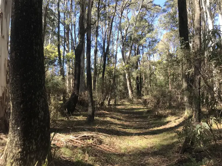 Fourth view of Homely rural property listing, Lot 2/3 Altmans Road, Tolmie VIC 3723