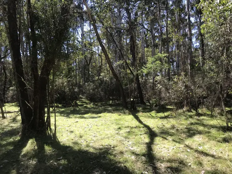 Seventh view of Homely rural property listing, Lot 2/3 Altmans Road, Tolmie VIC 3723