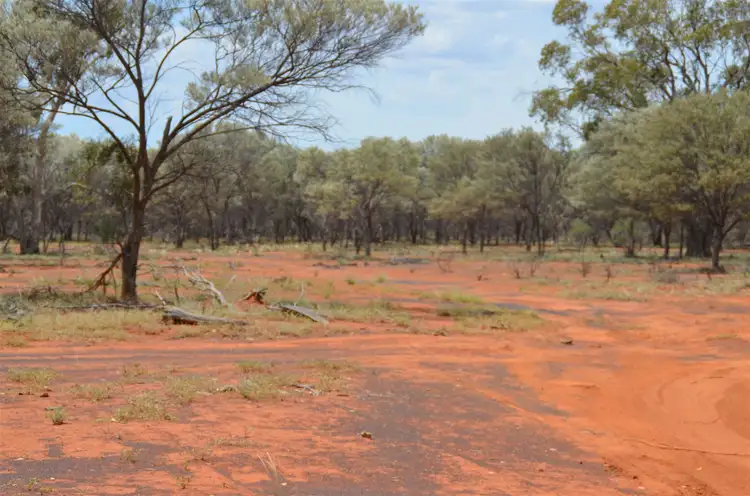 Seventh view of Homely rural property listing, * 'Wee-Toura', Louth NSW 2840