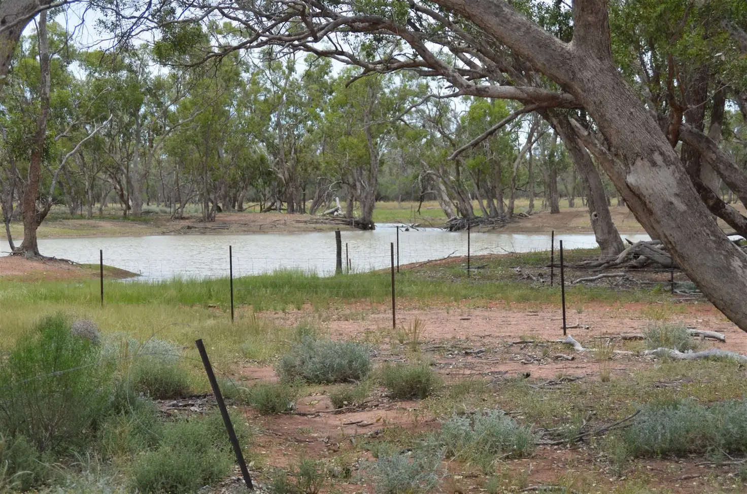 Main view of Homely rural property listing, * 'Sunny Corner', Louth NSW 2840