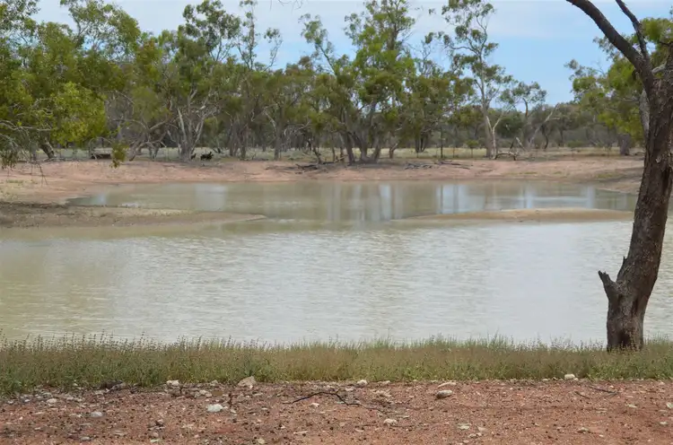 Fifth view of Homely rural property listing, * 'Sunny Corner', Louth NSW 2840